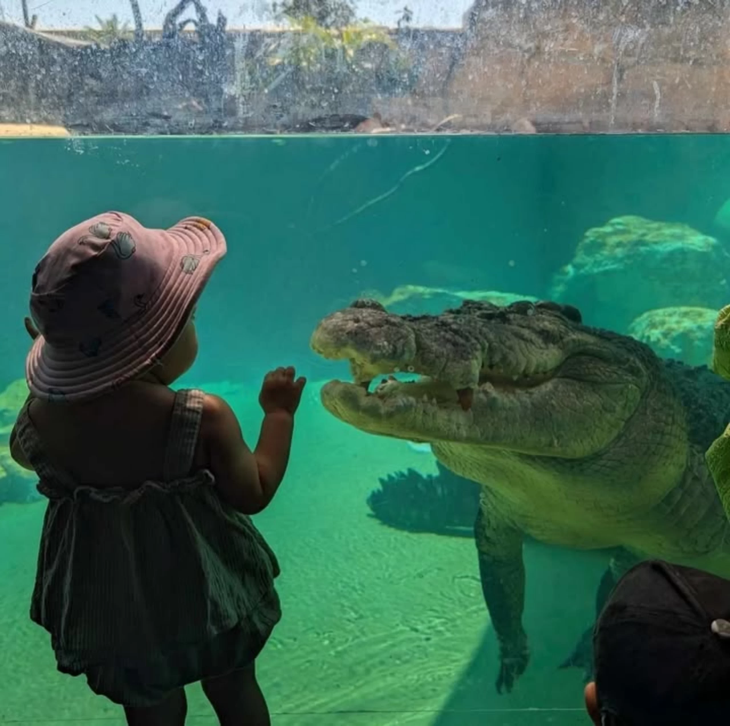 Jumping Crocodile Tour Darwin