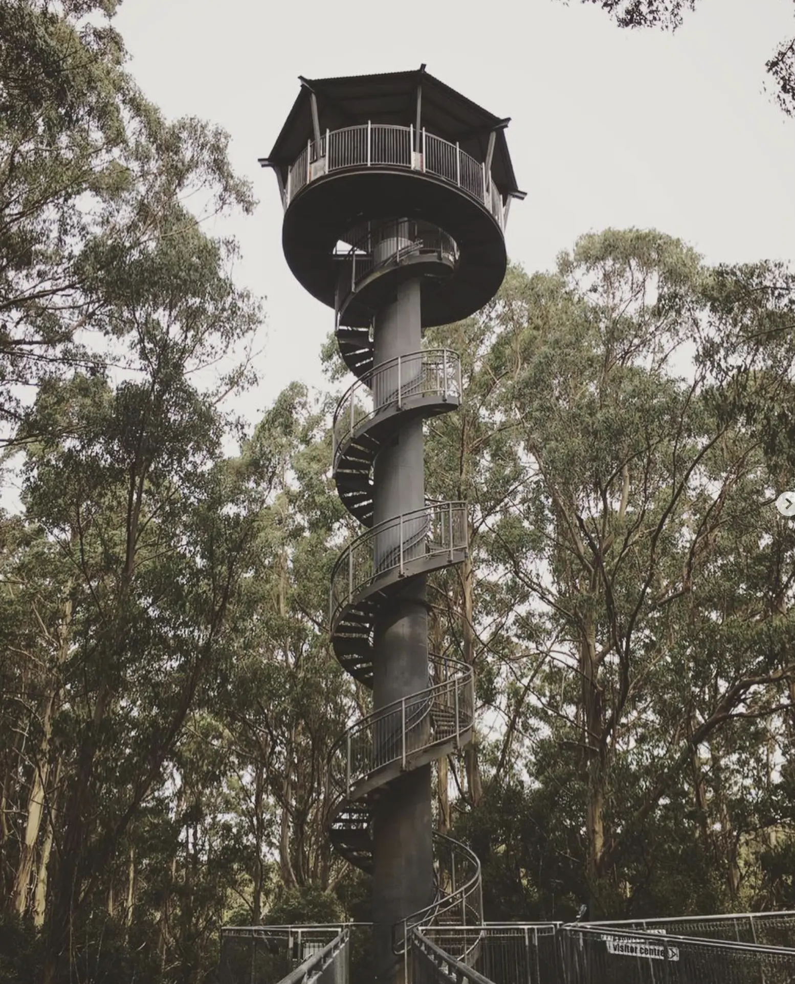 Otway Fly Treetop