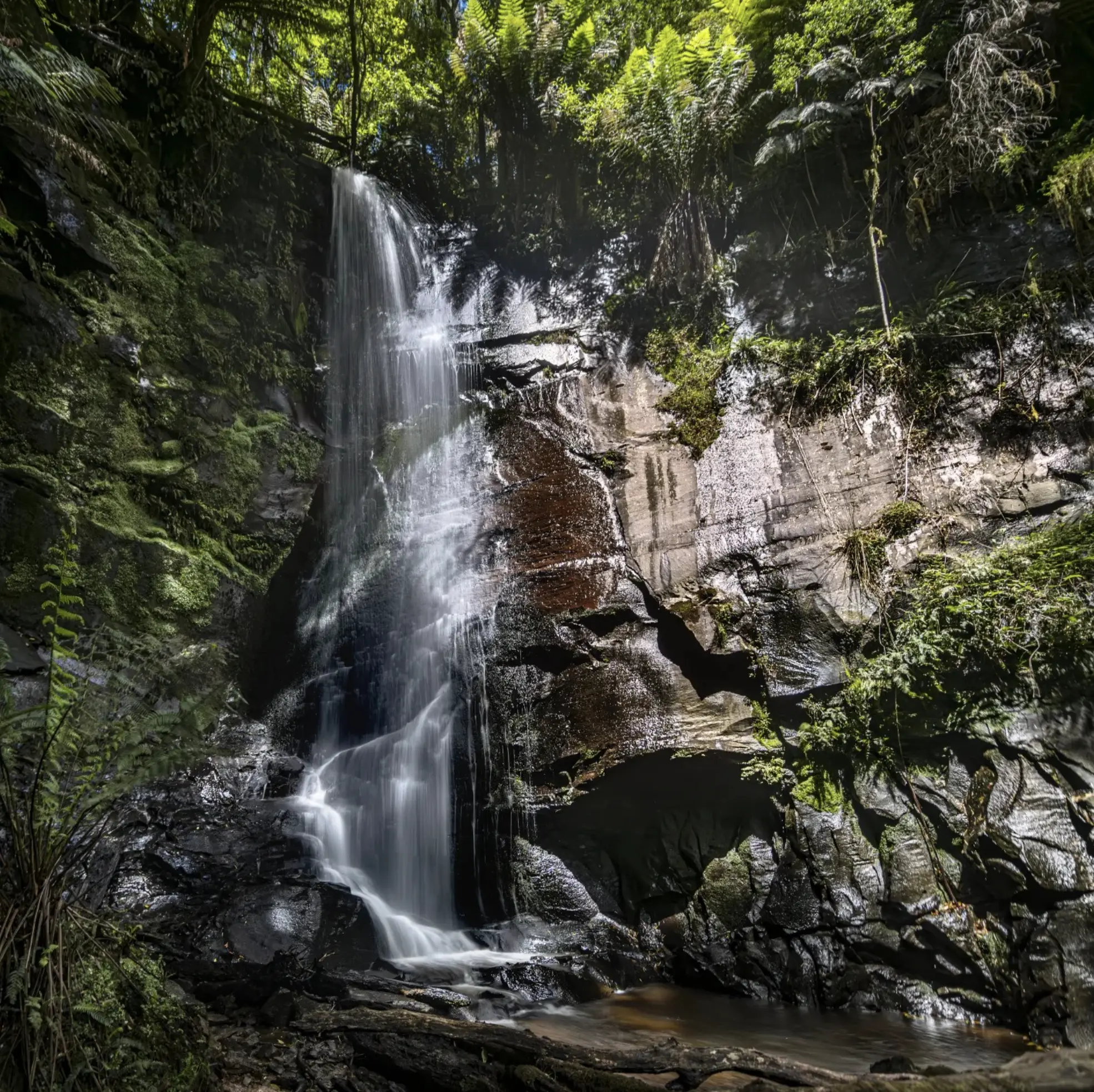 Otway Waterfalls