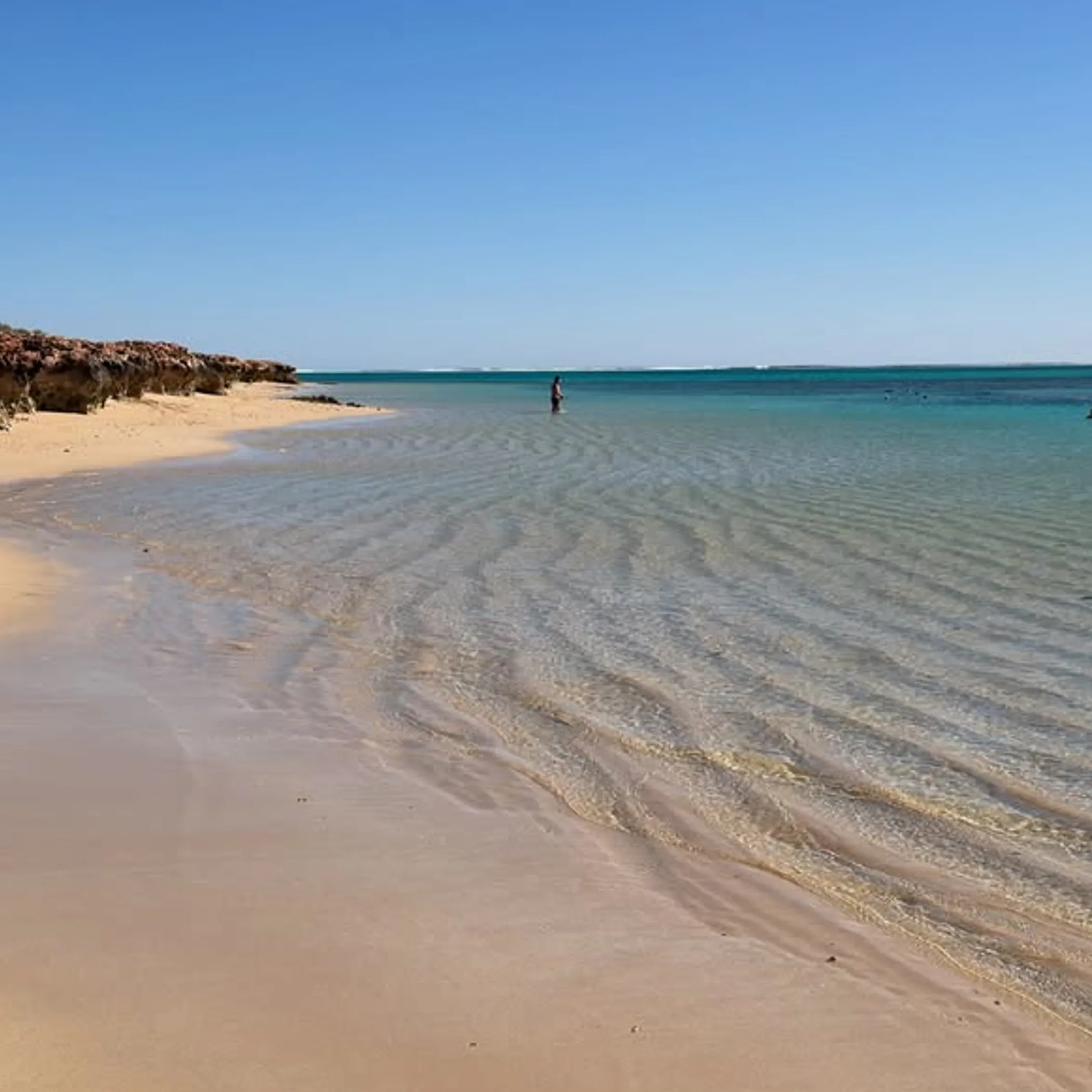 clear water beach at ningaloo reef