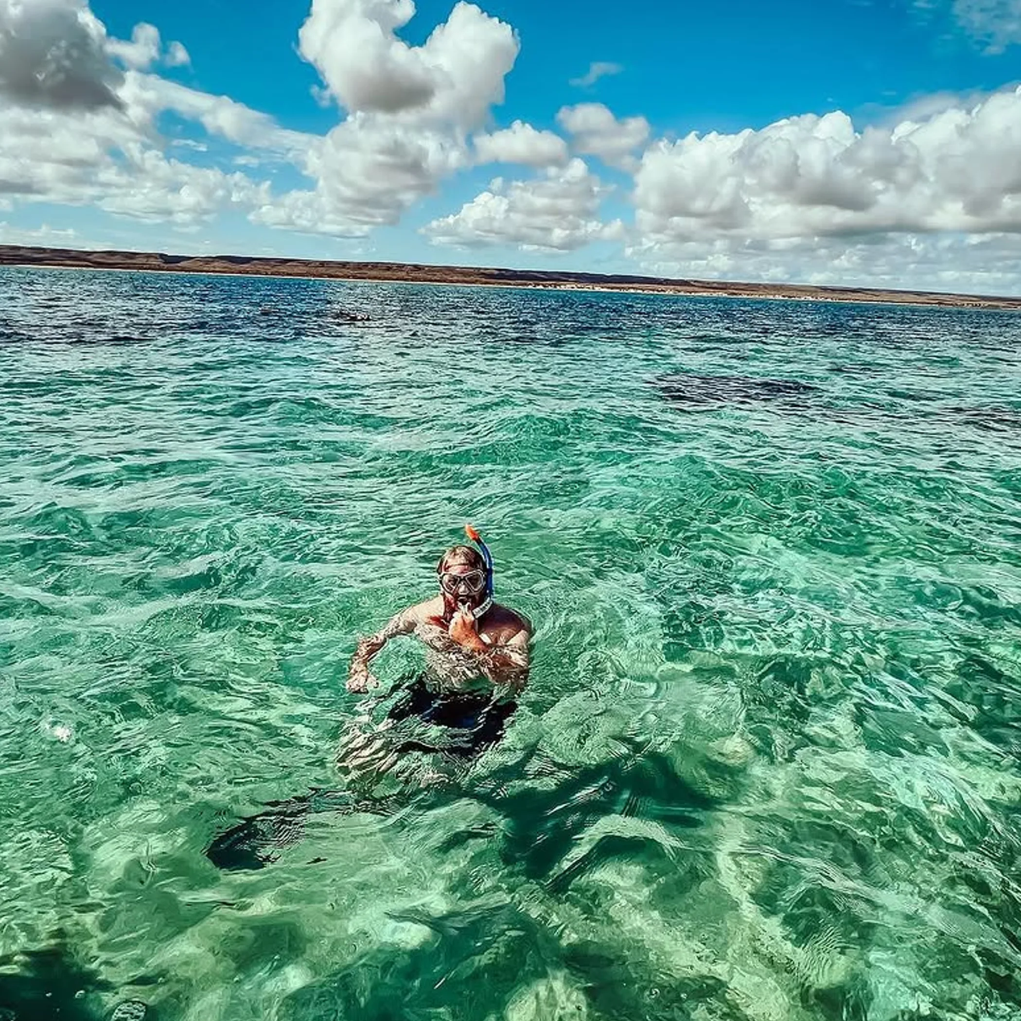 colorful coral reef underwater scene