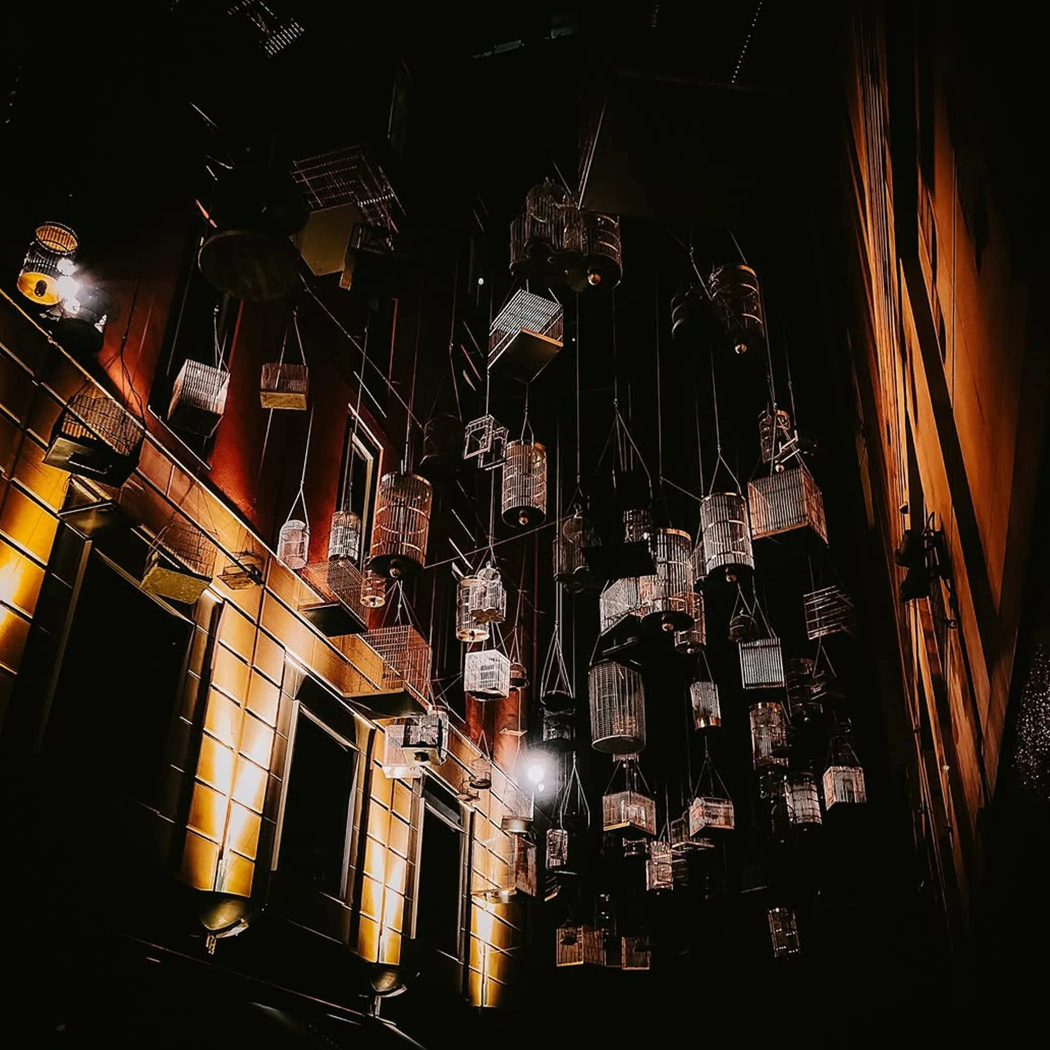 angel place suspended birdcages