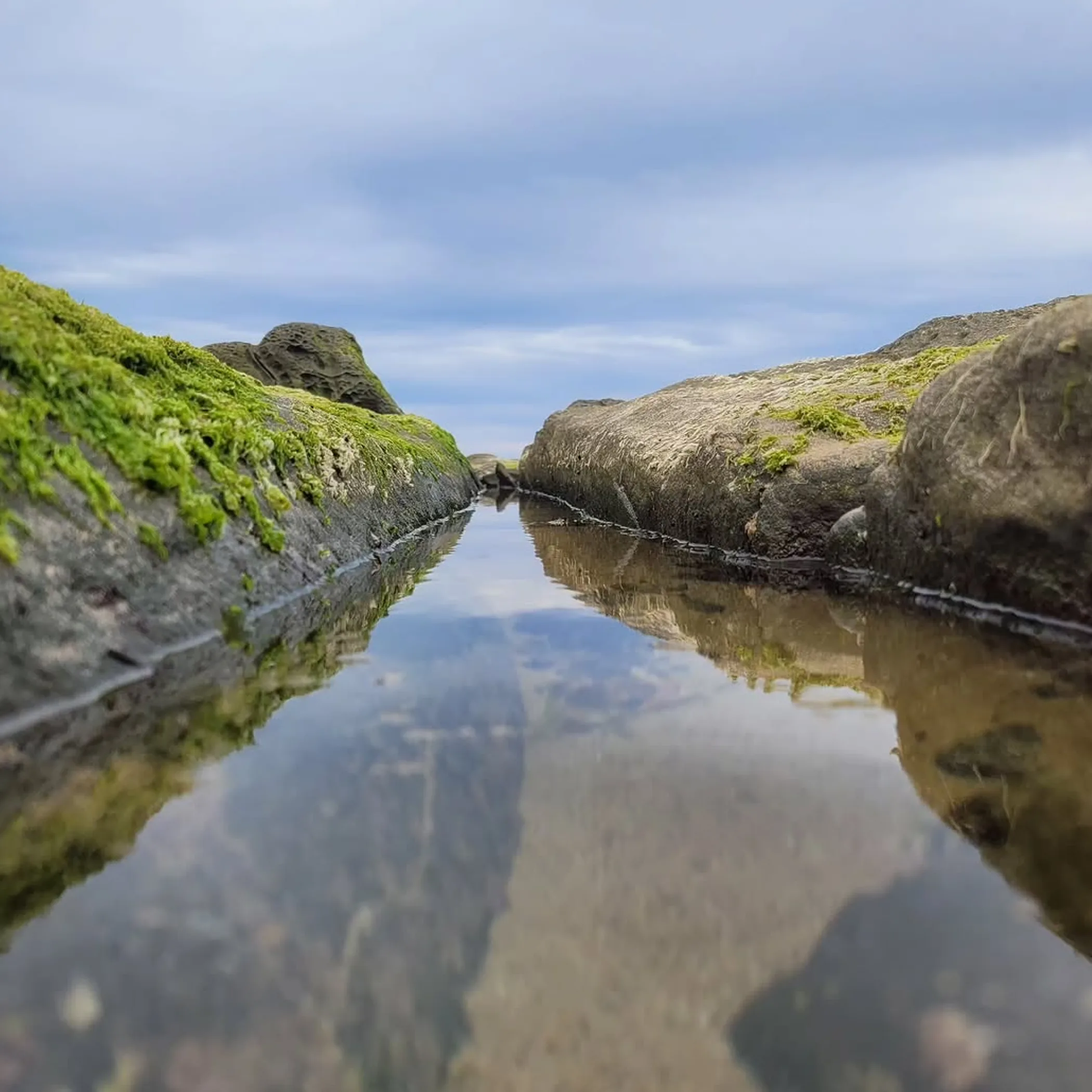 great ocean road coastal scene
