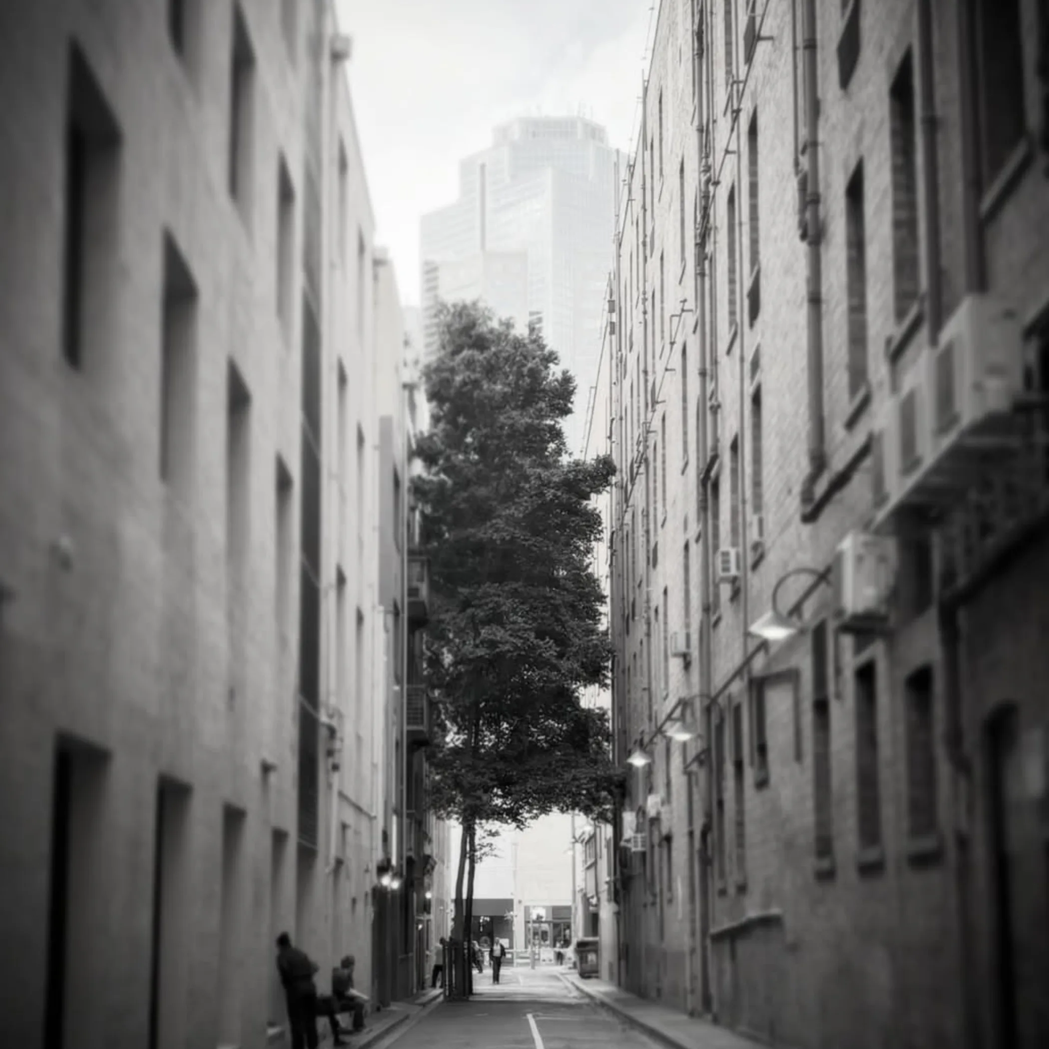 clean melbourne urban laneway